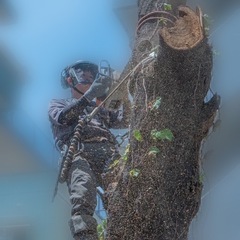 お仕事の手伝いをしてくれる方を募集（伐採、剪定、除草等）
