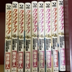 【最終値下げ】カウンタック