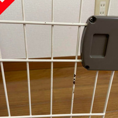 猫用ゲージ(組立式)の画像
