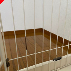 猫用ゲージ(組立式)の画像