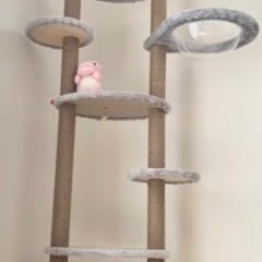 キャットタワー