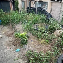 【日明4丁目】アパート共用部草刈りの画像