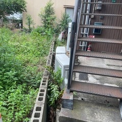 【日明4丁目】アパート共用部草刈りの画像