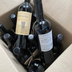 アンデシータ 赤 カベルネ ソーヴィニヨン（2本セットの画像