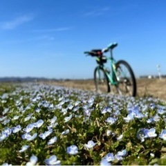 運動不足解消に自転車で散歩しませんか？ - メンバー募集