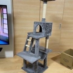 キャットタワーの画像