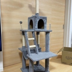 キャットタワーの画像