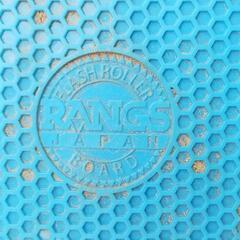 RANGS BOARD スケボーの画像