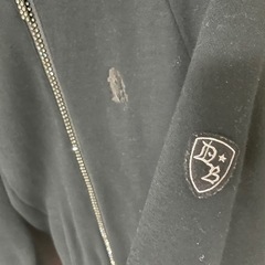 ダルタンボナパルト　スワロフスキーパーカーの画像