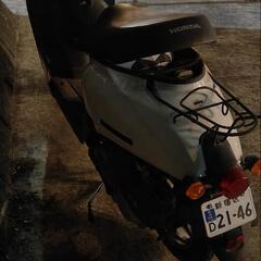 ホンダ 本田 原付 バイク 50cc 格安の画像