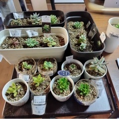 【徳島県全域にて急募】就労継続支援B型 利用者様大募集 軽作業のお手伝い の画像