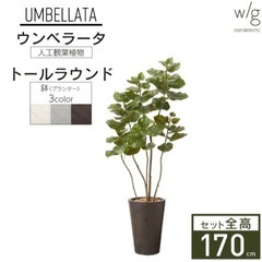 定価5万円❗️フェイクグリーン鉢セット 大型「ウンベラータ×Ta...