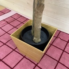 交渉中　造花　造木  観葉植物　高さ約165cm の画像