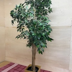 交渉中　造花　造木  観葉植物　高さ約165cm の画像