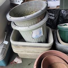 【早い者勝ち！9日まで】大量鉢植えセットの画像