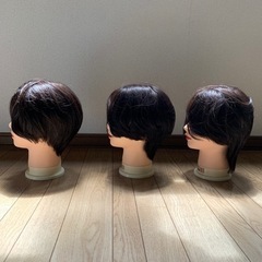 カットウィッグ　スピロ103 3体