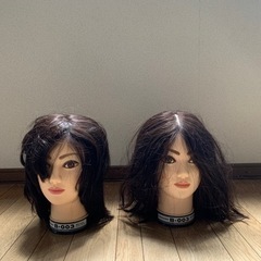 カットウィッグB-003 2体