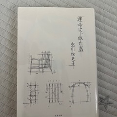 小説　運命に似た恋