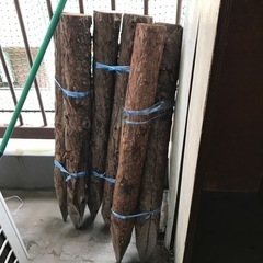木と棚