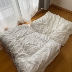 【今日か明日午前限定】掛け布団