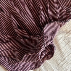 クロップTシャツの画像