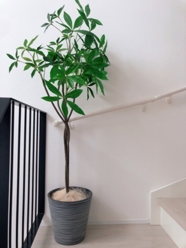 お引き渡し先決まりました☆ 人工観葉植物　フェイクグリーン