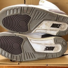 ジョーダン3×アママニエールの画像