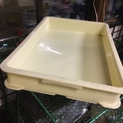 アロンコンテナ　中　約37x60x7、5cm
