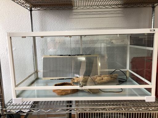 レプティワイルド　爬虫類用ケージ　ヒーター等含む