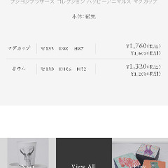 【値下げ】未使用　Fujiyoshi Brother's Collection マグカップの画像