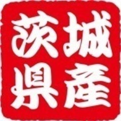 YouTube動画撮影を一緒にやって下さる方募集しています！！