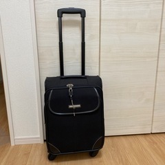 キャリーバック（布製）