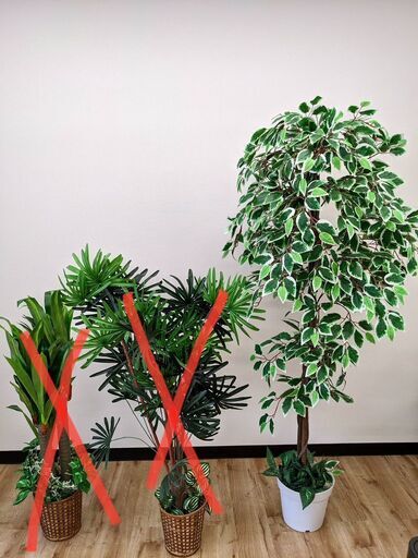 ＜種類豊富＞光触媒・観葉植物・人工観葉植物（一鉢1,500円～）★引き取り限定(東陽町)★