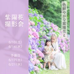 藤沢市で紫陽花ロケーション撮影やりますよ！