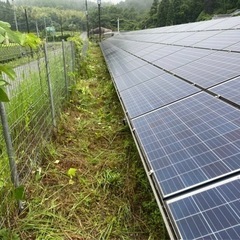 日給15000円交通費別草刈り等軽作業遠方の方は宿泊費出します