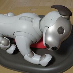 値下げ中‼️SONY  aibo(アイボ)ERSー1000  エンタテイメントロボット