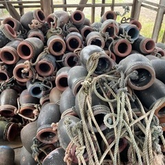 蛸壺