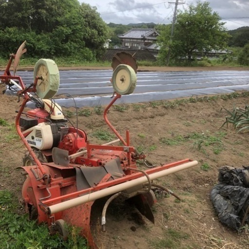 マルチャーデカウネ