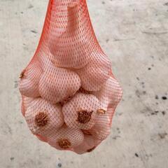 ニンニク　1kg