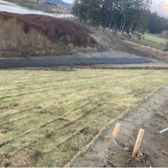 🌼6/8～県南地区河川沿いの芝張り作業🌼の画像