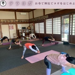 松山市三津のお寺でヨガ