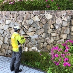 クリーニング、美装工募集！初心者大歓迎！の画像
