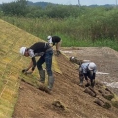 🌿‬6/5～大仙市での芝張り作業員募集🌿‬