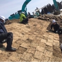 🌿‬6/5～大仙市での芝張り作業員募集🌿‬の画像