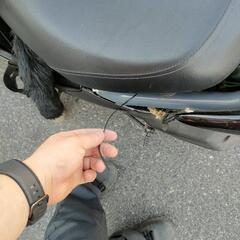 ライブディオＺＸの画像