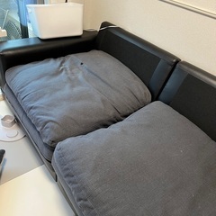 ニトリ　キングダム3