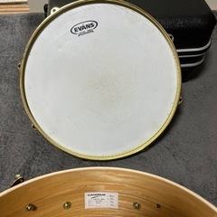 カノウプス　アッシュスネア　14×5.5の画像