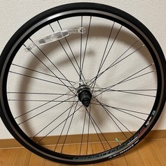 Bianchi RepartoCorse ホイール ALEXRIMS AT470の画像