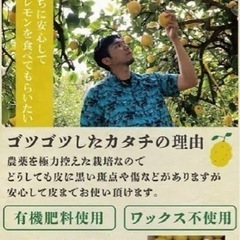 2/7 20- キャンプ横丁でキャンパい🍺 - さいたま市