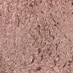 【お譲り先決定】カーペットの画像